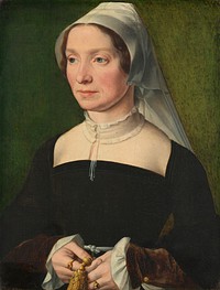 Wife of a Member of the de Hondecoeter Family (1543) by Antwerp 16th Century.  