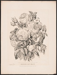 Original public domain image from Library of Congress