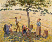 Apple Harvest (1888) painting in high resolution by Camille Pissarro. 