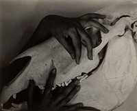 Georgia O&rsquo;Keeffe &ndash; Hands and Horse Skull (1931) by Alfred Stieglitz.  