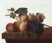 Still Life (1810) painting in high resolution by John Johnston. 