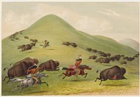 Buffalo Hunt: Chase (1844) painting in high resolution by George Catlin.  