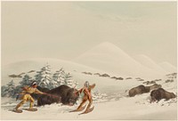 Buffalo Hunt, On Snow Shoes (1844) painting in high resolution by George Catlin.  