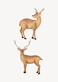 Hand-drawn cute fallow deer