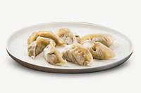 Dumplings food collage element psd