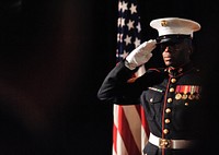 238th Marine Corps Birthday Ball. Original public domain image from Flickr