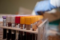 U.S. Army Spc. Erica Corley, with the Armed Services Blood Bank Center, organizes blood vials at Camp Kinser, Okinawa, Japan, Nov. 15, 2013, during a blood drive in support of Operation Damayan.