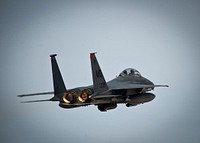 A U.S. Air Force F-15E Strike Eagle aircraft attached to the 391st Fighter Squadron takes off during Red Flag 14-1 at Nellis Air Force Base, Nev., Jan. 28, 2014.