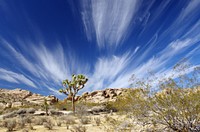 Cloud sky at  Joshua Tree National Park, southern California