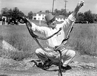 F.H. Green With Snakes 1947 Oak Ridge