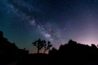 Aesthetic night sky, silhouette tree