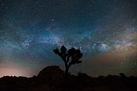 Aesthetic night sky, silhouette tree