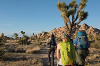 Backpackers walking along the Boy Scout Trail, Joshua Tree National Park, California