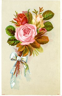 Contributor(s): Bolet Peraza, N. (Nicanor), 1838–1906, issuing body. Advertisement for the Pildoras Tocologias for women by Dr. Nicanor Bolet Peraza. Card features a color illustration of a rose bouquet with a white bow tied at the bottom. Original public domain image from Flickr