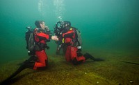 U.S. Customs and Border Protection BORSTAR divers conduct training exercises at Morrison Springs near Panama City, Fla., May 23, 2016.