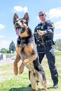 K9 Darce, Greenville Police K9 Darce and Officer Neague, date unknown. Original public domain image from Flickr