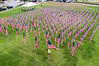  American flags at field of honor