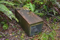 Pest trap, predator control, saving kiwis. Original public domain image from Flickr