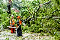 Public Works clears downed trees from blocked streets after the Hurricane Florence, location unknown, September 14, 2018. Original public domain image from Flickr