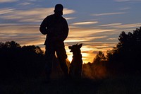 Military Working Dog, U.S. Army Sergeant Astor P720, assigned to 92nd Military Police Company, obediently sits and waits for his next command from U.S. Army Specialist Kurtis Swift during an obedience training exercise which took place in the Panzer Local Training Area, Boeblingen, Germany, Sep. 29, 2016.