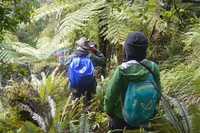 Hiking, forest adventure field trip. Original public domain image from Flickr