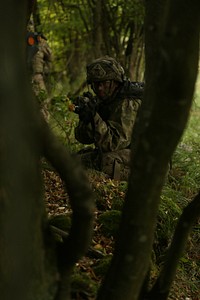 A U.S. Soldier with the 4th Battalion, 319th Field Artillery Regiment, 173rd Infantry Brigade Combat Team (Airborne) provides security during Saber Junction 18 at the U.S. Armyâs Joint Multinational Readiness Center in Hohenfels, Germany, Sept. 22, 2018.