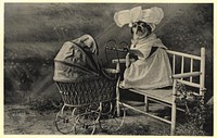 Contributor(s): Zwerdling, Michael, former owner (1900-1914). A black and white photograph featuring a dog dressed as a nursemaid in a white dress and a big white headdress. The dog is sitting on a bench with its paws on the baby carriage handlebar. Original public domain image from Flickr