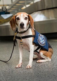 Members of the U.S. Customs and Border Protection Office of Field Operations pose for portraits in Philadelphia, Pa., October 26, 2016.