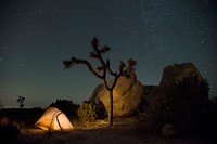 Glowing tent in Ryan Campground, Joshua Tree National Park, southern California