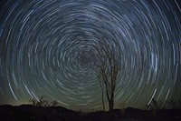 Star Trails over the Ocotillo Garden