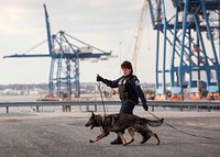 K-9 officers with the U.S. Customs and Border Protection Office of Field Operations conduct a training exercise at the Port of Baltimore in Baltimore, Md., Feb 8, 2017.