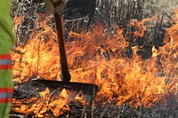 Emergency Services Training, wildfire.