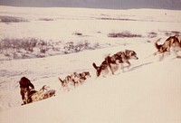 Dog sled trip from Bettles to Anaktuvuk - Gates of the Arctic. Original public domain image from Flickr