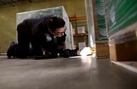 Officers with the U.S. Customs and Border Protection, Office of Field Operations, National Agriculture Cargo Targeting Unit search for non-native insects and plant material as they inspect imports at the Port of Baltimore in Baltimore, Md., April 4, 2017.