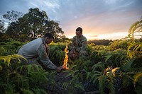 Senior Airmen Jonathan Harvey and Alex Triani, both Survival, Evasion, Resistance and Escape (SERE) Specialists with the 106th Rescue Wing conduct survival training at the US Army's Jungle Operations Training Course in Hawaii on March 8, 2017.