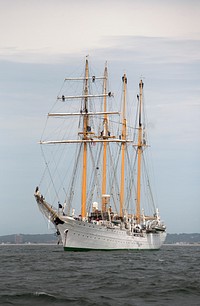 Officers with the U.S. Customs and Border Protection, Office of Field Operations, board a flotilla of tall ships off the Coast of Boston, Massachusetts, to conduct customs inspections of the visiting vessels and crews as the ships arrive for the Sail Boston 2017 event, June 16, 2017.