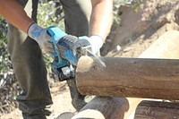 Trails crew cutting log