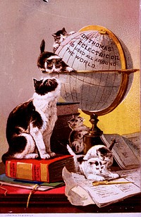 Dr. Thomas' Eclectric Oil: is used all around the world. Abstract: Advertisement for Dr. Thomas' Eclectric Oil, "sold and used the world over," depicting a mother cat and her five kittens in various positions on a table amid papers, books and a globe.Original public domain image from Flickr