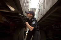 Agriculture inspection specialists with the U.S. Customs and Border Protection, Office of Field Operations, National Agriculture Cargo Targeting Unit, inspect containers of imported goods for invasive insect and plant species that may have hitched a ride to the U.S. from overseas at the Port of Baltimore July 26, 2017.