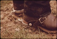 Vintage male shoes. Original public domain image from Flickr