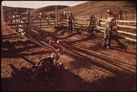 At the Oldlands' Summer Cow Camp, Fifteen Miles South of Their Piceance Creek Ranch. Hired Hand Jake Spends an Idle Moment Practicing Roping, 07/1973. Original public domain image from Flickr