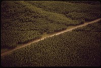 A View West Across the Route. Cut in Forest Shows the Location of the Pipeline Crossing of the Livengood Highway. Original public domain image from Flickr