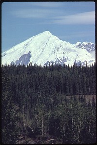 Mount Drum (Elevation 12,002 Feet) Seen From Copper Center Looking East. The 500 Mm Lens Shows the Dormant Volcano Rising Above the White Spruce Forest That Is Typical of Many Locations in the Area. The Pipeline Right-Of-Way Is About Two Miles West of This Camera Location.