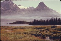 Salmon Spawn in the Streams That Drain Salt Marshes Such as the One Shown Here. One of the Mineral King Islands Appears in the Middle Distance.