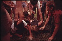 Youngsters Wrestle with a Greased Pig During a Contest Held by the Tennessee Consolidated Coal Company During Their First Annual Picnic at a Tennessee Valley Authority Lake near Jasper and Chattanooga, Tennessee.