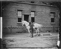 General Joseph Hooker and Horse. Original public domain image from Flickr