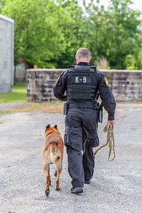 Greenville Police K9 Audie and Officer Chad Bowen, Greenville, date unknown. Original public domain image from Flickr