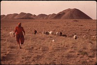 Sheepherding on the Grounds of the Utah International Mine on the Navajo Reservation. Original public domain image from Flickr