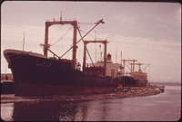 Logs Will Be Taken Aboard These Ships at the Mouth of the Columbia River for Export to Japan. Original public domain image from Flickr