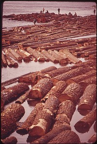 Log Raft on the Willamette River at Oregon City 04/1973. Photographer: Falconer, David. Original public domain image from Flickr